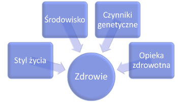 czynniki kształtujace stan zdrowia